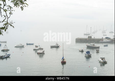 Schull, West Cork, Irlanda. 24 Ago, 2019. La nebbia avvolge le barche in Schull Harbour su un nuvoloso ma giorno umido in West Cork. La pioggia si sposta nell'area di questo pomeriggio con alti da 17 a 19C. Credito: Andy Gibson/Alamy Live News Foto Stock