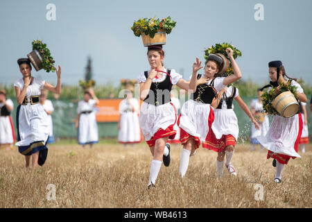 Markgröningen, Germania. 24 agosto 2019, 24 agosto 2019, Baden-Wuerttemberg, Markgröningen: Ragazze eseguito durante il Markgröninger Schäferlauf con secchi di acqua sulle loro teste. Foto: Sebastian Gollnow/dpa Credito: dpa picture alliance/Alamy Live News Foto Stock