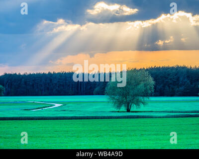 Una strada di campagna durante il tramonto il tempo primaverile. Podlasie. Podlachia. La Polonia, l'Europa. La regione è chiamato Podlasko Podlasze o. Foto Stock