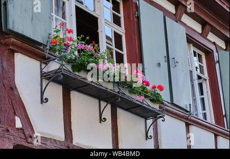 Vasi di Fiore Piante che crescono su casa vecchia finestra Foto Stock