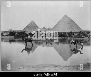 L'Egitto. Village e piramidi durante l'alluvione e tempo. ca. 189- Abstract: mostra fotografica di uomini sui cammelli e un uomo in piedi accanto a un cammello Nello shallow acqua di inondazione, con piramidi sullo sfondo, in Egitto. Foto Stock