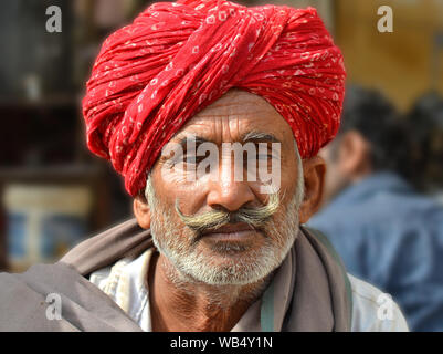 Anziani di Rajasthani indiano uomo con un rosso turbante di Rajasthani (pagari) e ben curate, manubrio grigio baffi pone per la fotocamera. Foto Stock