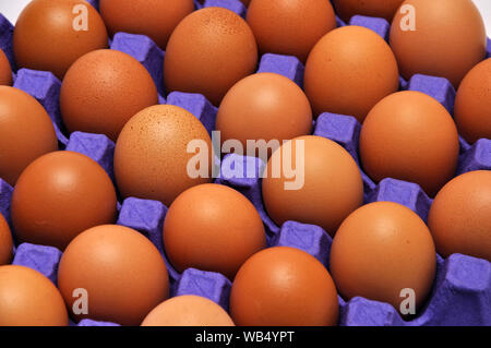 Vassoio di uova di pollo su un sfondo senza giunture Foto Stock
