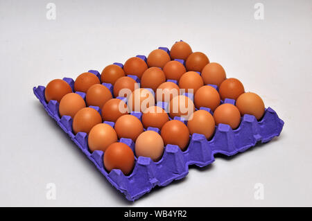 Vassoio di uova di pollo su un sfondo senza giunture Foto Stock
