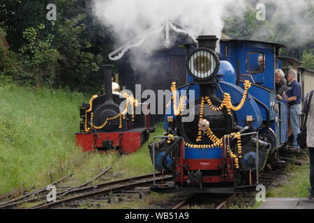 Darjeeling classe B locomotiva a vapore a Launceston ferrovia in Cornovaglia Foto Stock