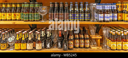 Birre Belghe panorama con montaggio di bicchieri su scaffalature di legno all'interno di un turista negozio di souvenir nel centro della città di Bruges, Belgio. Foto Stock