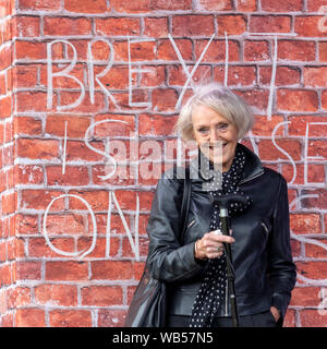 Edimburgo, Scozia, Regno Unito. Il 22 agosto 2019. 'Graffiti Granny' (Hazel Jones) al voto popolare Rally durante il Festival di Edimburgo del 2019. Foto Stock