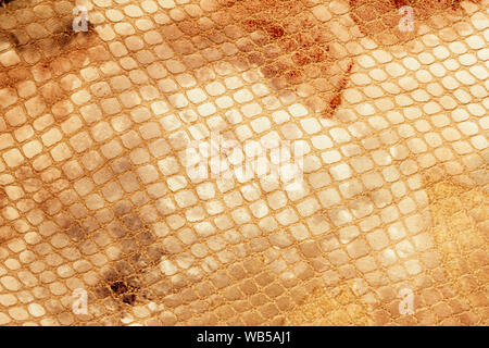 Modello di Snakeskin in vera pelle close-up, imitazione rettile esotico, superficie di beige marrone colore di sfondo alla moda. Foto Stock