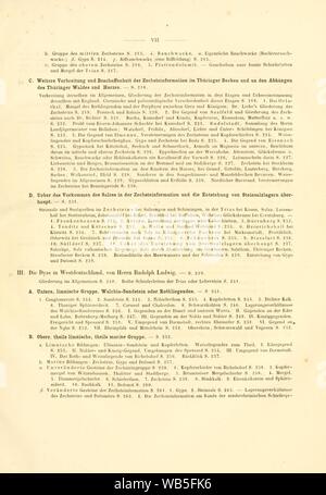 Dyas oder die Zechsteinformation und das Rothliegende (pagina VII) Foto Stock