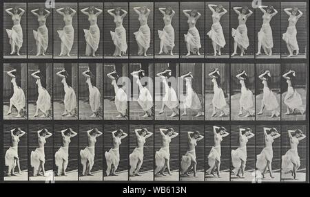 Eadweard Muybridge Locomozione animale piastra 190. Foto Stock