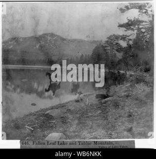 Caduto foglie lago e montagna Tahlac, la valle del lago di Tahoe Abstract/medio: 1 stampa fotografica : metà stereografia, albume. Foto Stock