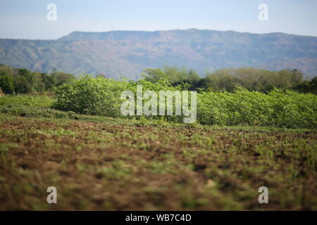 Bangali iandscapes Bangladesh Foto Stock