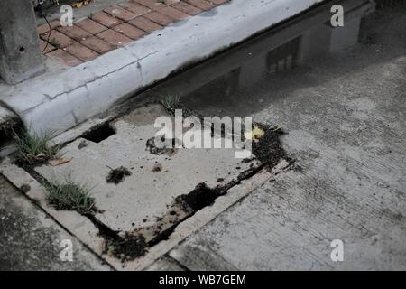 La sporcizia calcestruzzo reticolo su un tombino grondaia coperchio. cattiva condizione infrastruttura con alghe che crescono su. bacino di raccolta su strada concreta. Foto Stock