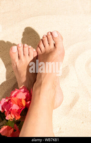 Donna gambe conciate sulla spiaggia di sabbia con rosa buganvilia fiore. Viaggi e vacanze vacanze concetto, composizione verticale Foto Stock