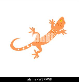 Gekko o Tokay gecko con coda ricurva su sfondo bianco , molti bianco e arancione punti di colore sparsi su marrone pelle di rettile spaventoso Illustrazione Vettoriale
