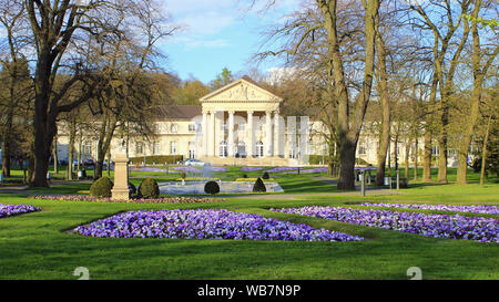Fiori di Primavera in Aachen nel parco termale vicino Casinò Foto Stock