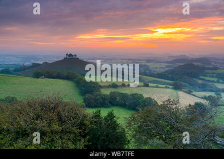 Colmers Hill, Bridport, Dorset, Regno Unito. Il 25 agosto 2019. Regno Unito Meteo. Una nebbiosa alba alla collina Colmers vicino a Bridport in Dorset davanti a un altro caldo giorno di sole sulla banca weekend di vacanza. Credito Foto: Graham Hunt/Alamy Live News Foto Stock