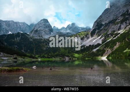 Seebensee con belle riflessioni. Lago alpino in Tirolo, Austria, vicino la Zugspitze Foto Stock