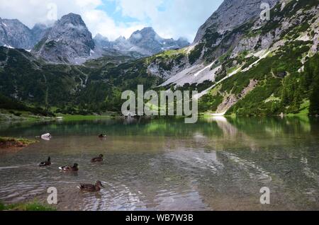 Seebensee con belle riflessioni. Lago alpino in Tirolo, Austria, vicino la Zugspitze Foto Stock