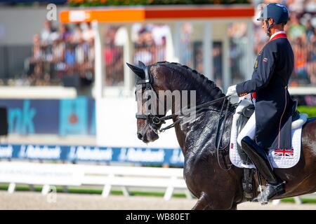 Rotterdam. Paesi Bassi. Il 24 agosto 2019. Carl Hester (GBR) riding Hawtins delicato nel FEI Grand Prix offerte presso il FEI Longines Campionati Europei. Dressage. Credit Elli Birch/SIP Agenzia fotografica/Alamy live news. Foto Stock