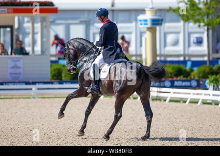 Rotterdam. Paesi Bassi. Il 24 agosto 2019. Carl Hester (GBR) riding Hawtins delicato nel FEI Grand Prix offerte presso il FEI Longines Campionati Europei. Dressage. Credit Elli Birch/SIP Agenzia fotografica/Alamy live news. Foto Stock