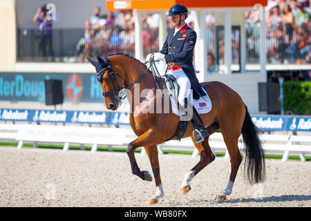 Rotterdam. Paesi Bassi. Il 24 agosto 2019. Gareth Hughes (GBR) equitazione Briolinca classico nel FEI Grand Prix offerte presso il FEI Longines Campionati Europei. Dressage. Credit Elli Birch/SIP Agenzia fotografica/Alamy live news. Foto Stock