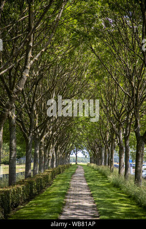 Il luogo Veere, provincia Zeeland, Paesi Bassi, avenue, Foto Stock