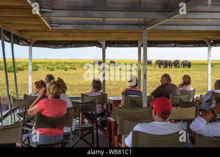 I turisti in una barca osservare gli elefanti lungo il fiume Chobe, Botswana, Africa Foto Stock