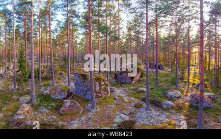 Foresta sempreverde con alcune rocce di grandi dimensioni Foto Stock