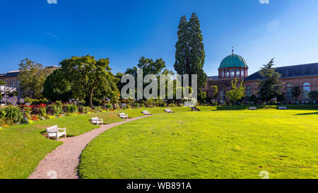 Karlsruhe Giardino Botanico. Karlsruhe, Germania. Vista estiva del giardino botanico di Karlsruhe. Giardini botanici (Botanischer Garten Karlsruhe). Foto Stock