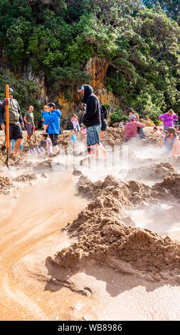 COROMANDEL, Nuova Zelanda - 13 ottobre 2018: turisti scavare buchi nella sabbia vulcanica sulla spiaggia dell' acqua calda. In verticale Foto Stock