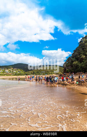 COROMANDEL, Nuova Zelanda - 13 ottobre 2018: turisti scavare buchi nella sabbia vulcanica sulla spiaggia dell' acqua calda. In verticale Foto Stock