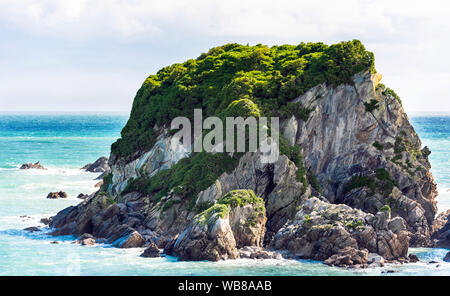 Isola di parete vicino a Cape Foulwind, Tauranga Bay, Nuova Zelanda. Foto Stock