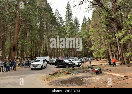 Parco Nazionale di Yosemite, STATI UNITI D'AMERICA - Aprile 1, 2019: automobili parcheggiate nel Parco Nazionale di Yosemite in California. Foto Stock