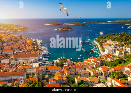 La citta di Hvar con Seagull's volando sopra la città di lusso famosa destinazione di viaggio in Croazia. Barche sull'isola di Hvar, una delle tante isole vicino a Dubrovnik Foto Stock