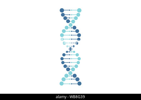 Il vettore di DNA linea blu sullo sfondo bianco Foto Stock