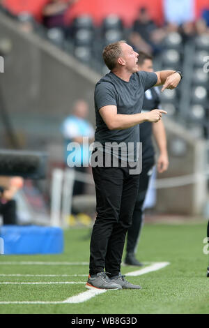 Swansea, Regno Unito. 25 Ago, 2019. Swansea City manager Steve Cooper durante il cielo di scommessa match del campionato tra Swansea City e Birmingham City presso il Liberty Stadium, Swansea domenica 25 agosto 2019. (Credit: Jeff Thomas | MI News)solo uso editoriale, è richiesta una licenza per uso commerciale. Nessun uso in scommesse, giochi o un singolo giocatore/club/league pubblicazioni. La fotografia può essere utilizzata solo per il giornale e/o rivista scopi editoriali: Credito MI News & Sport /Alamy Live News Foto Stock