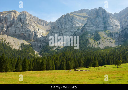 Vista del Canal de Cristall burrone in Sierra del Cadí mountain range da Prat de Cadí pascoli (Alt Urgell, Lleida, Pre-Pyrenees, Catalogna, Spagna) Foto Stock