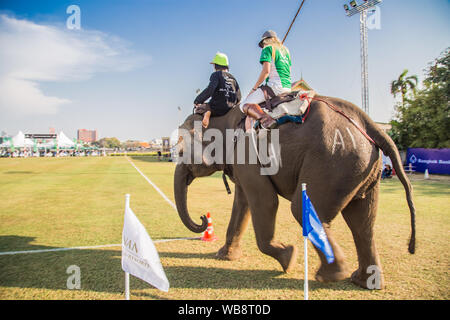 Polo evento elefante in Riverside Bangkok, Thailandia Foto Stock