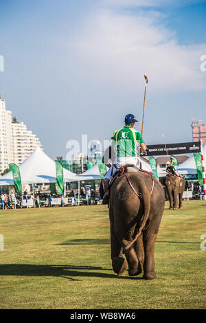 Polo evento elefante in Riverside Bangkok, Thailandia Foto Stock