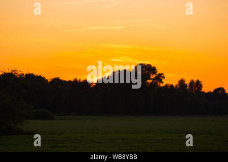 Un tramonto minaccioso alle spalle di alcuni alberi in un campo Foto Stock