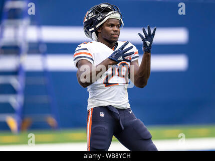 Agosto 24, 2019: Chicago Bears running back Tarik Cohen (29) durante la NFL Football preseason game azione tra i Chicago Bears e Indianapolis Colts a Lucas Oil Stadium di Indianapolis, Indiana. Chicago ha sconfitto Indianapolis 27-17. John Mersits/CSM. Foto Stock