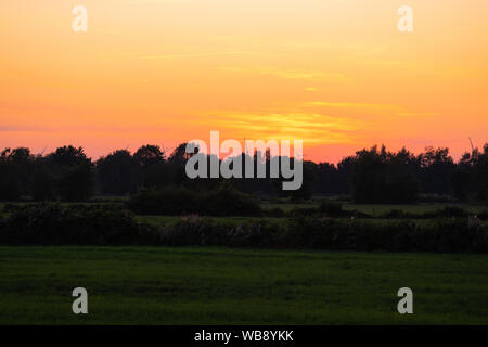Un tramonto minaccioso alle spalle di alcuni alberi in un campo Foto Stock