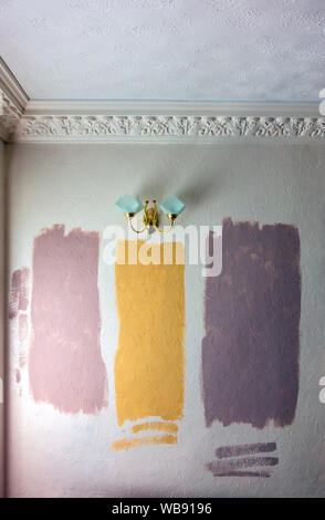 La vernice del colore del campione di prova pannelli sulla casa parete interna Foto Stock