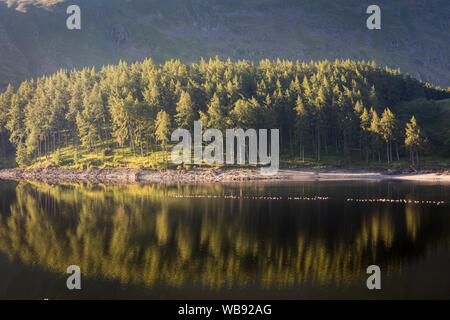 Scafell, nel Lake District inglese, all'alba, con una fila di oche sull'acqua Foto Stock