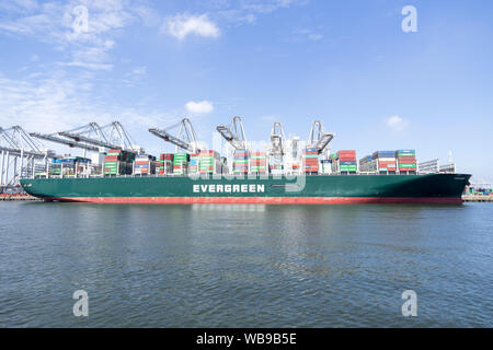 Mai dato ormeggiato a ECT Delta terminal, Rotterdam. Evergreen con sede a Taiwan è un global container trasporto merci-società di spedizione. Foto Stock