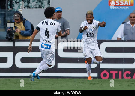 Il Santos, Brasile. 25 Ago, 2019. Fortaleza corrispondono all'Urbano Caldeira Stadium, Vila Belmiro, nel Santos, Ella match è valido per il sedicesimo appuntamento del 2019 Campionato brasiliano. Credito: Ricardo Moreira/FotoArena/Alamy Live News Foto Stock