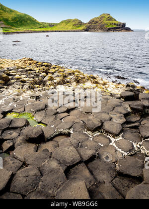 Giant's Causeway, Irlanda del Nord, Regno Unito. Unico e ESAGONALE PENTAGONALE formazioni geologiche del basalto vulcanico rocce alla costa atlantica, in parte c Foto Stock