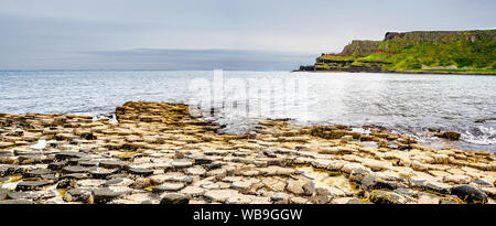 Giant's Causeway, Irlanda del Nord, Regno Unito. Panorama unico di forma esagonale e pentagonale formazioni geologiche del basalto vulcanico rocce, coperto da barnac Foto Stock