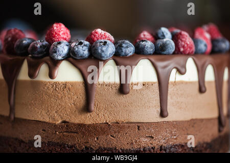 Bella fresca torta al cioccolato con frutta e bacche Foto Stock